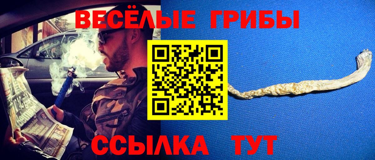 Уссурийск  Галлюциногенные грибы Cubensis  Галлюциногенные грибы прущие грибы  Вход с VPN 